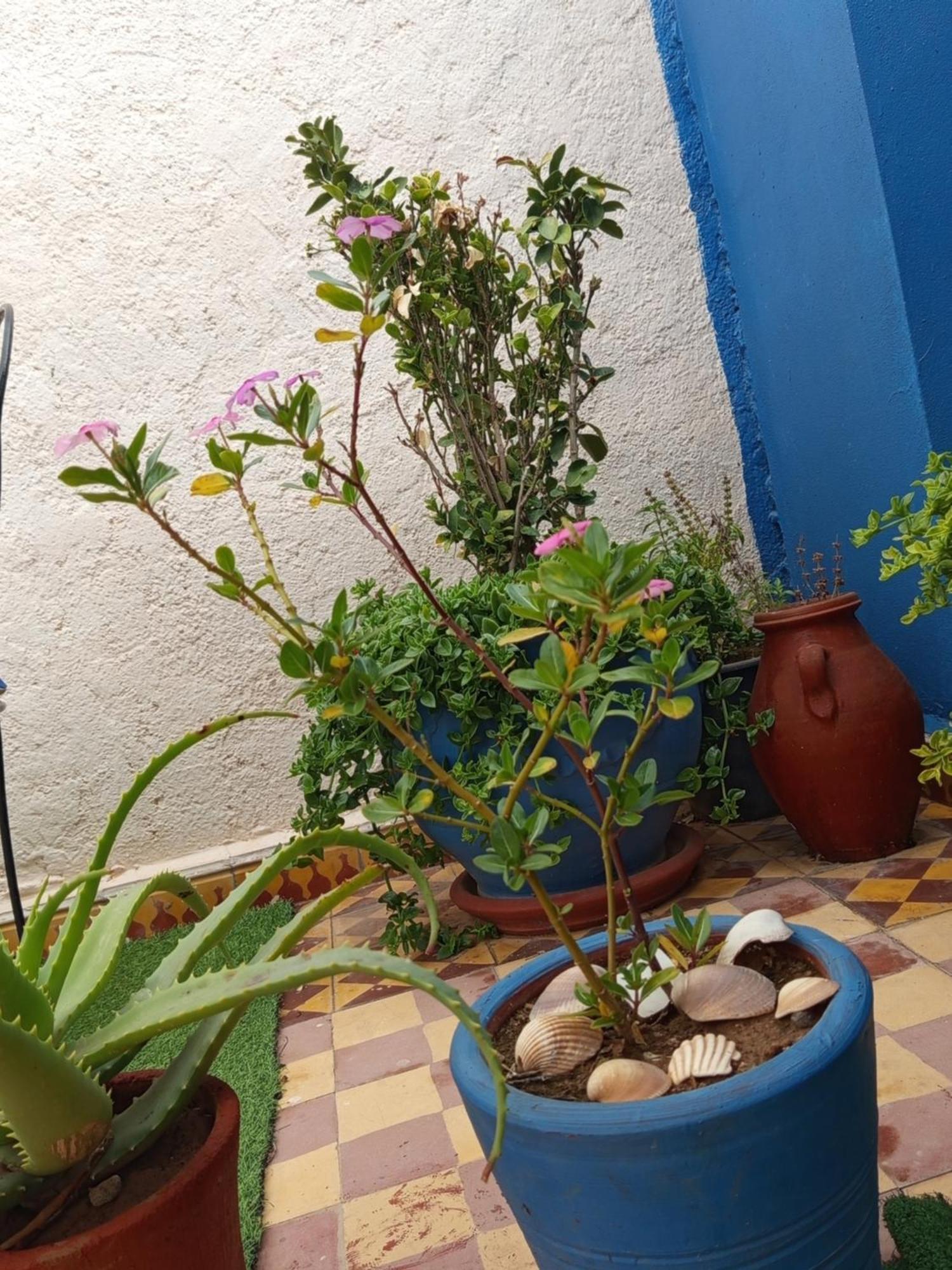 Riad Derb El Aarsa Marrakesh Extérieur photo