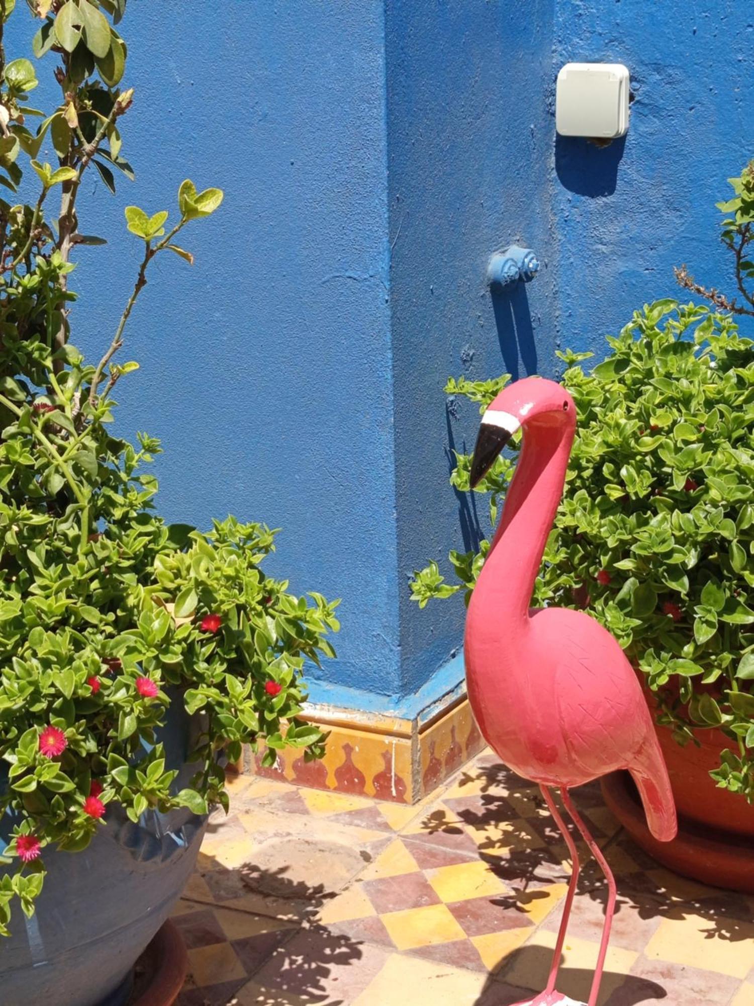 Riad Derb El Aarsa Marrakesh Extérieur photo